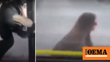 Αττική: Απίστευτο βίντεο με επιβάτιδα λεωφορείου στην Αττική να πηδά από το παράθυρο