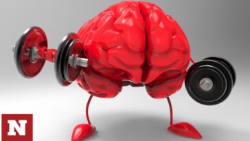 Τον λόγο που η άσκηση ωφελεί τον εγκέφαλο βρήκαν οι επιστήμονες
