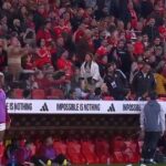 Χαμός στην Πορτογαλία: Οπαδοί της Μπενφίκα πέταξαν μπουκάλια στον προπονητή της ομάδας τους (video)