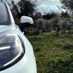 Ford: Κατασκευή εξαρτημάτων με υλικά από ελαιόδεντρα