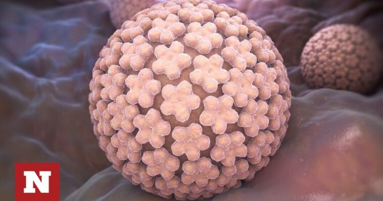 HPV: Πόσο αυξάνει τον κίνδυνο καρκίνου του θυρεοειδούς