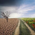 Έρευνα: Πώς επηρεάζει τις εποχές η κλιματική αλλαγή