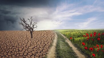 Έρευνα: Πώς επηρεάζει τις εποχές η κλιματική αλλαγή