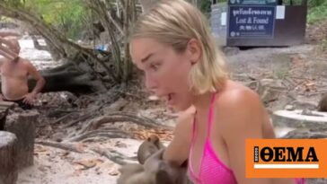Βίντεο: Μοντέλο από τη Γερμανία δέχθηκε επίθεση από μαϊμούδες στην Ταϊλάνδη - «Φοβήθηκα για τη ζωή μου»