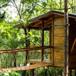 Δεντρόσπιτα, ξυλόσπιτα, γιούρτες και άλλα ξεχωριστά Airbnb μέσα στην ελληνική φύση