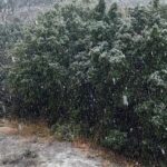 Κακοκαιρία: Χιονίζει σε Χορτιάτη, Ασβεστοχώρι και Φίλυρο