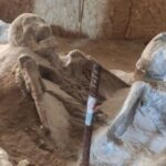 Λίνα Μενδώνη: Αυτοψία στους «Δεσμώτες του Φαλήρου» - Ένα εύρημα 78 αλυσοδεμένων ανθρωπίνων σκελετών