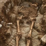 Μυστηριώδες μεσαιωνικό νεκροταφείο ανακαλύφθηκε στο Κάρντιφ – Δεκάδες σκελετοί σε περίεργες θέσεις 