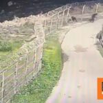 Νεκροί από ισραηλινά πυρά τρεις Παλαιστίνιοι που εξαπέλυσαν επίθεση σε εβραϊκό οικισμό στην κατεχόμενη Δυτική Όχθη (βίντεο)