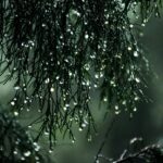 Ο καιρός με τη Νικολέτα Ζιακοπούλου: Παροδικές βροχές το Σάββατο – Χιονοπτώσεις σε ορεινά και ημιορεινά