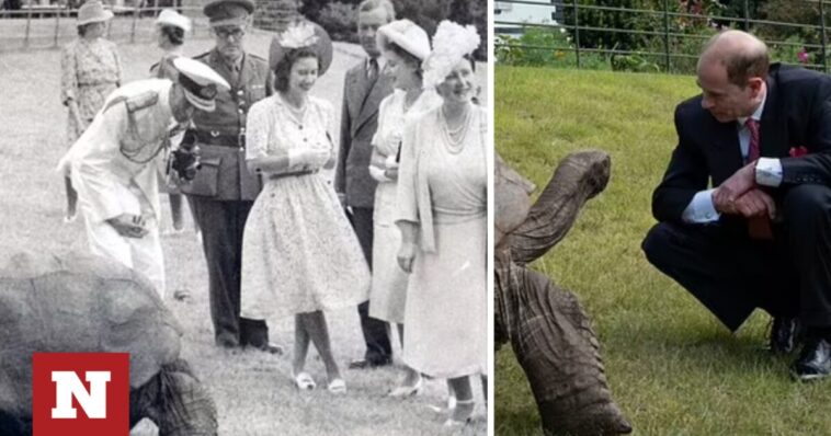 Πρίγκιπας Έντουαρντ: Συνάντησε χελώνα... 192 ετών που είχαν δει η Ελισάβετ και ο βασιλιάς Γεώργιος