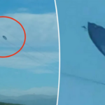 Couple snaps pics of “flying saucer” on road trip: “You had to see it to believe it” (photos)