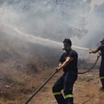 Αμαλιάδα: Πυρκαγιά σε δασική έκταση στην περιοχή Κρυονέρι