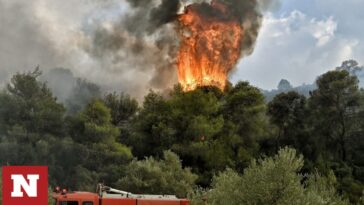 Ζάκυνθος: Υπό πλήρη έλεγχο η πυρκαγιά στην περιοχή Εξωχώρα – Κάηκαν πάνω από 100 στρέμματα