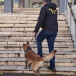 Θεσσαλονίκη: Η Αντιτρομοκρατική ανέλαβε τις έρευνες για τον εκρηκτικό μηχανισμό στα δικαστήρια