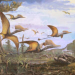 Νέο είδος πτερόσαυρου που έζησε πριν από 170 εκατ. χρόνια εντόπισαν σύγχρονοι… Ιντιάνα Τζόουνς στη Σκωτία!